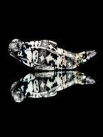 Crunk Seal Rig w/ Kelp Pendy