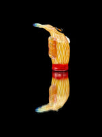 Trapper Studio Pivot Top