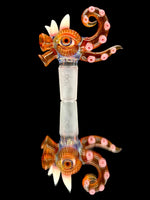 Swissperc x Salt 14mm Slide