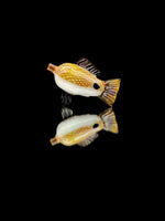 Trapper Studios Red Drum Carb Cap