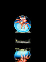 Florin Glass Spider Marble