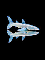 Mako Glass Shark Dry Pipe