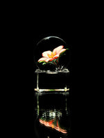 Florin Glass Flower Marble