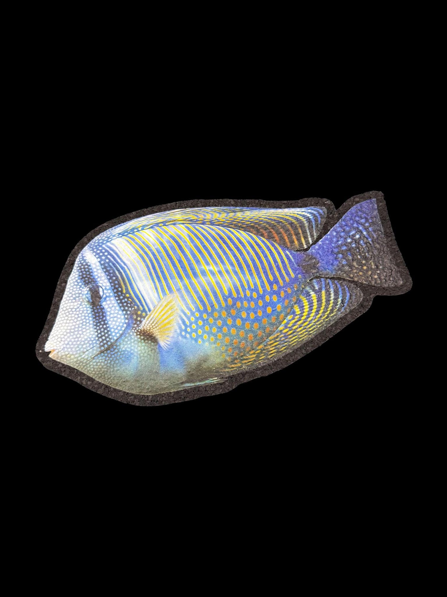Moodmat Blue Tang