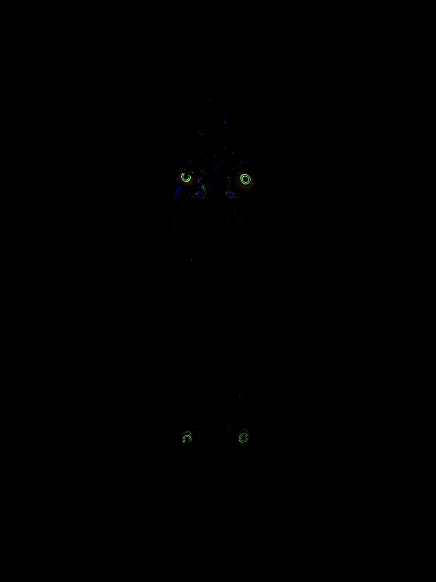 Voorhees Onie