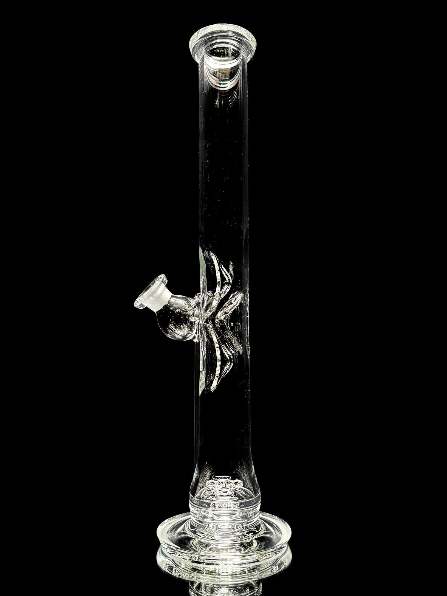 Maxxswell Glass Flower Tube
