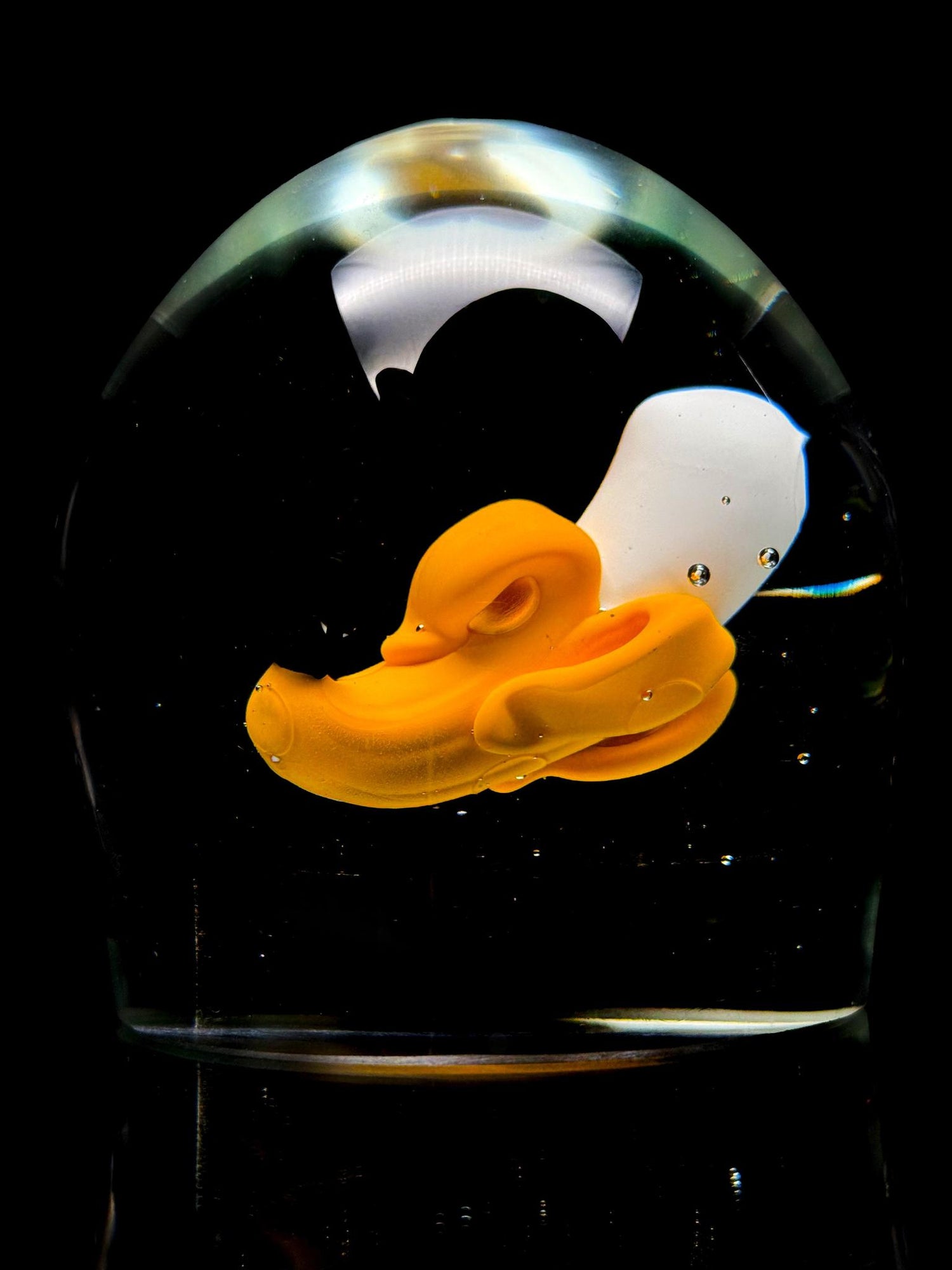 Coyle Banana Soft Glass Encasement