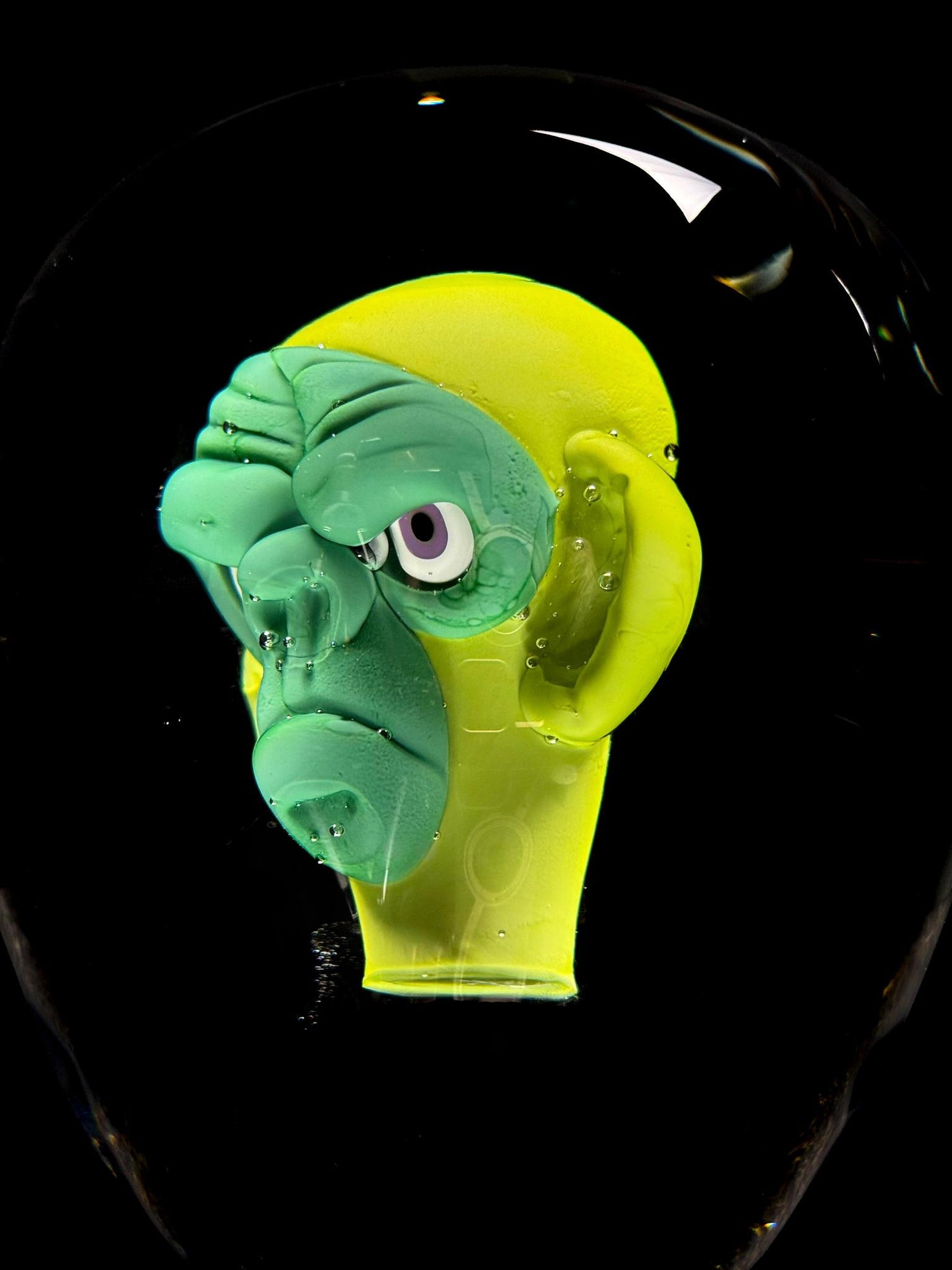 Coyle Monkey Head Soft Glass Encasement