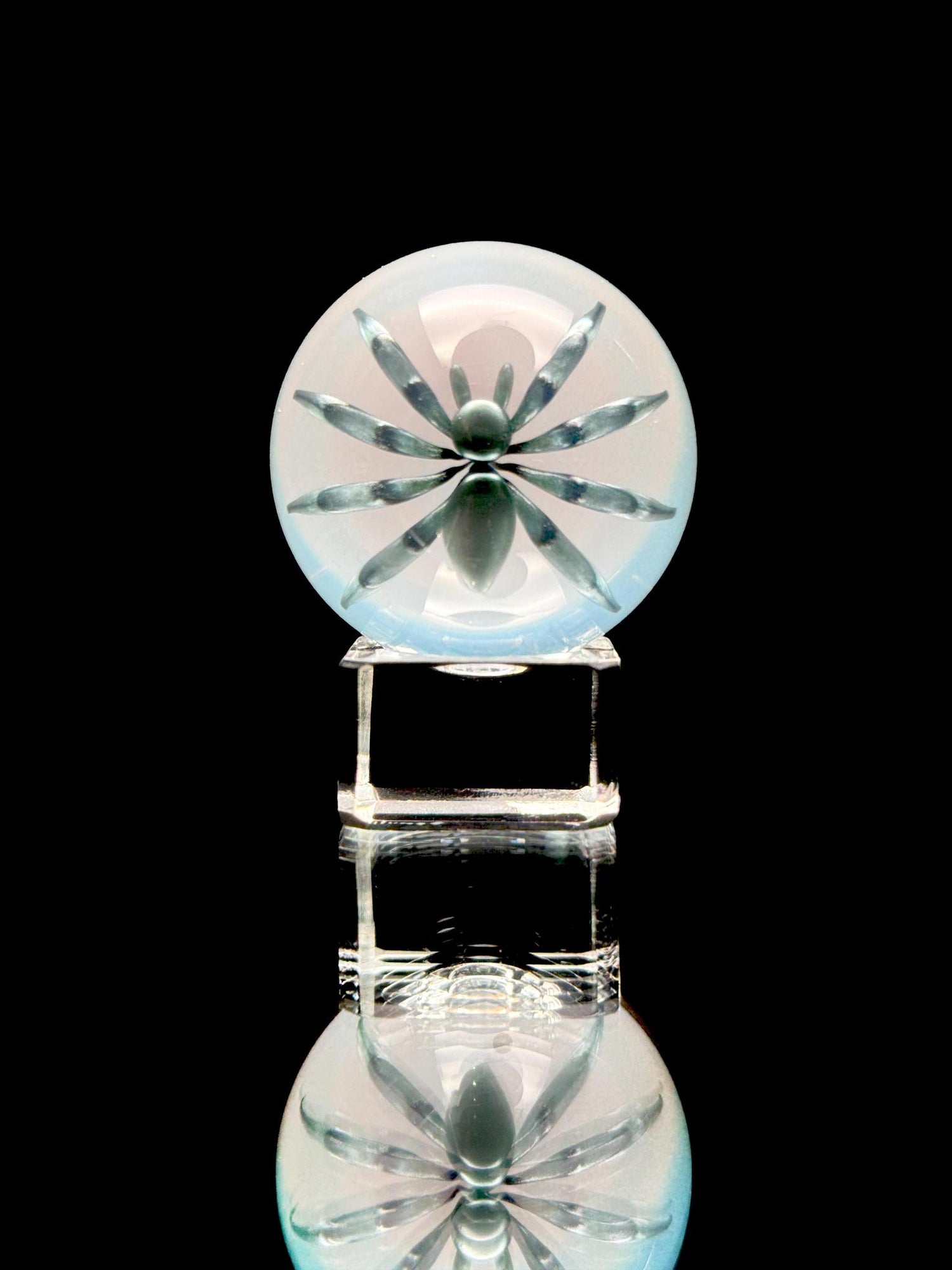Florin Glass Lg Spider Marble