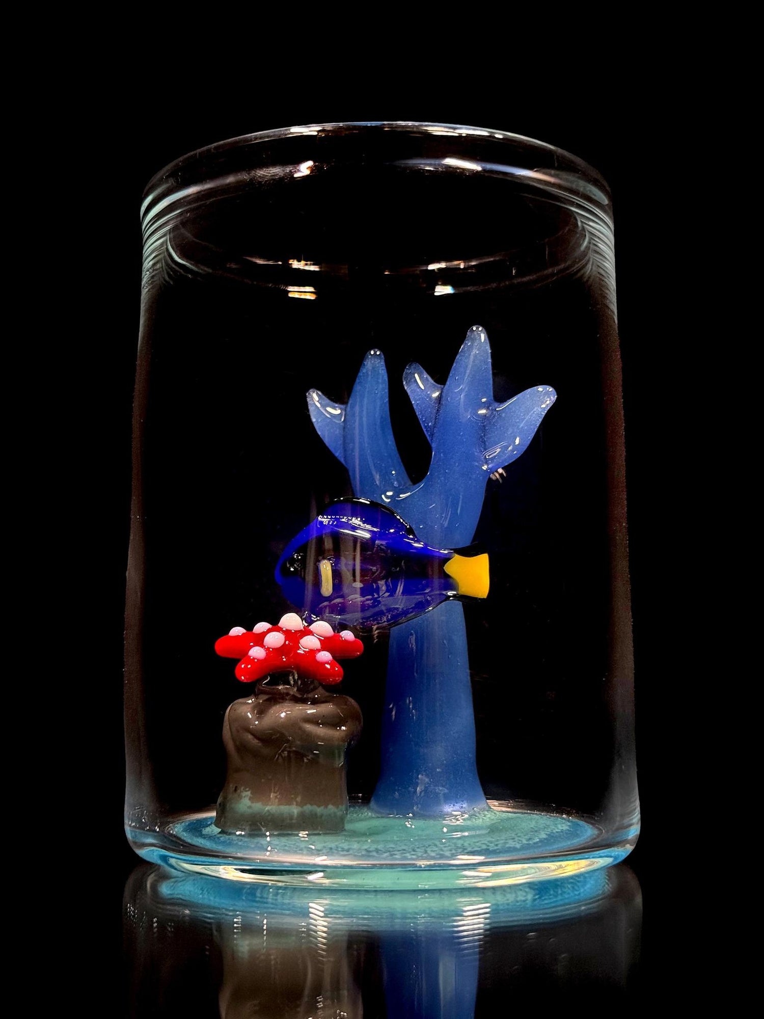 Kian McLay Aquarium Cup