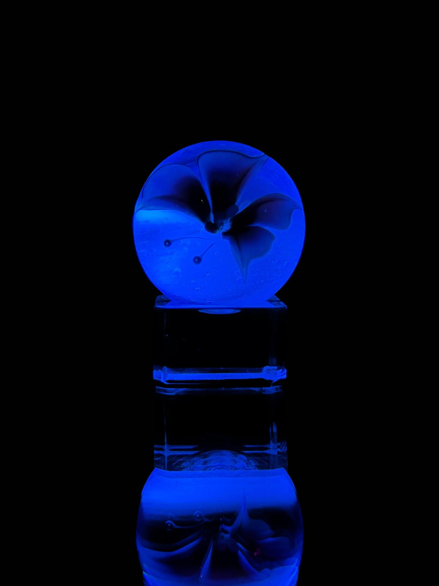 Florin Glass Md Butterfly Marble