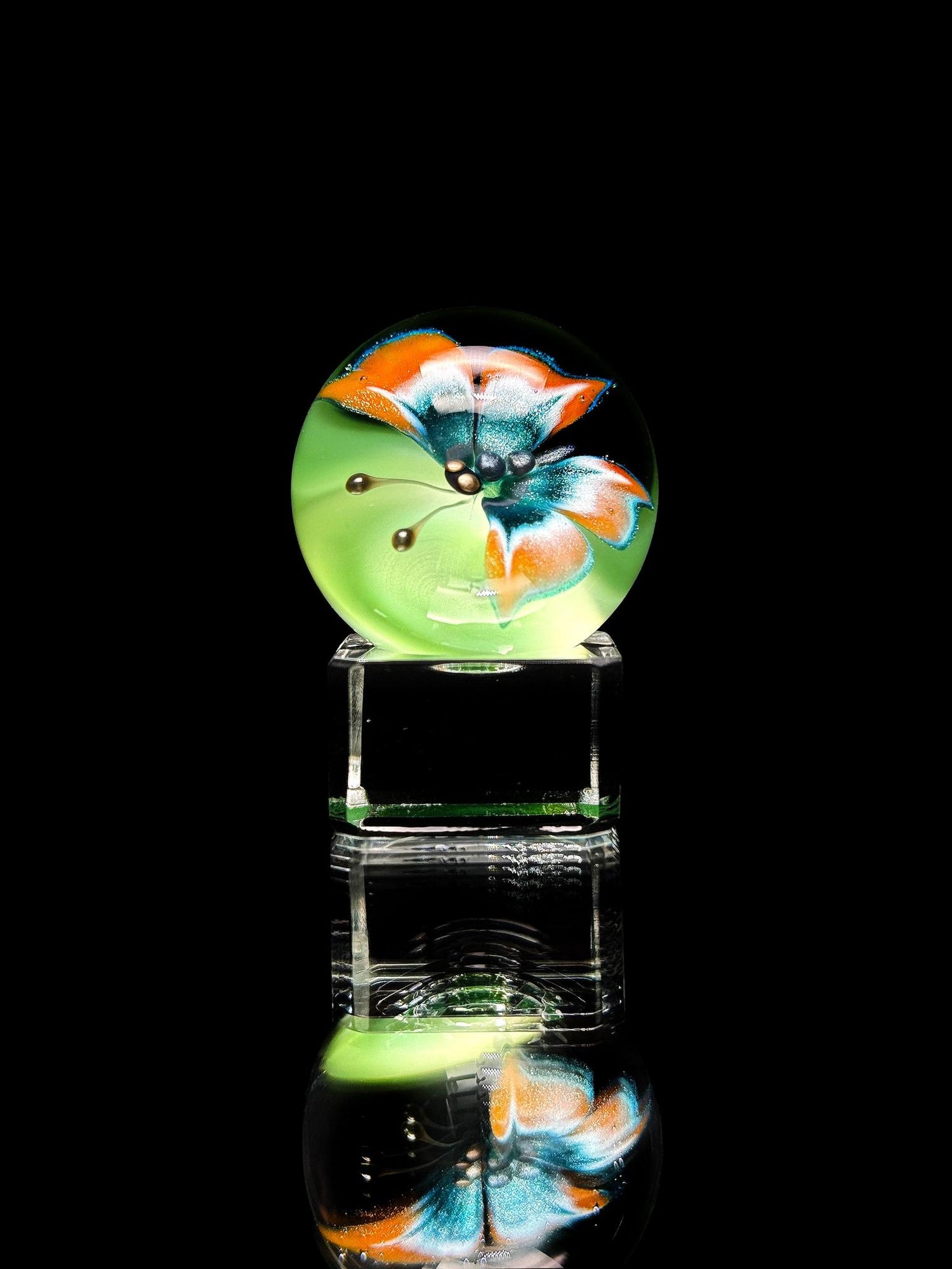 Florin Glass Md Butterfly Marble