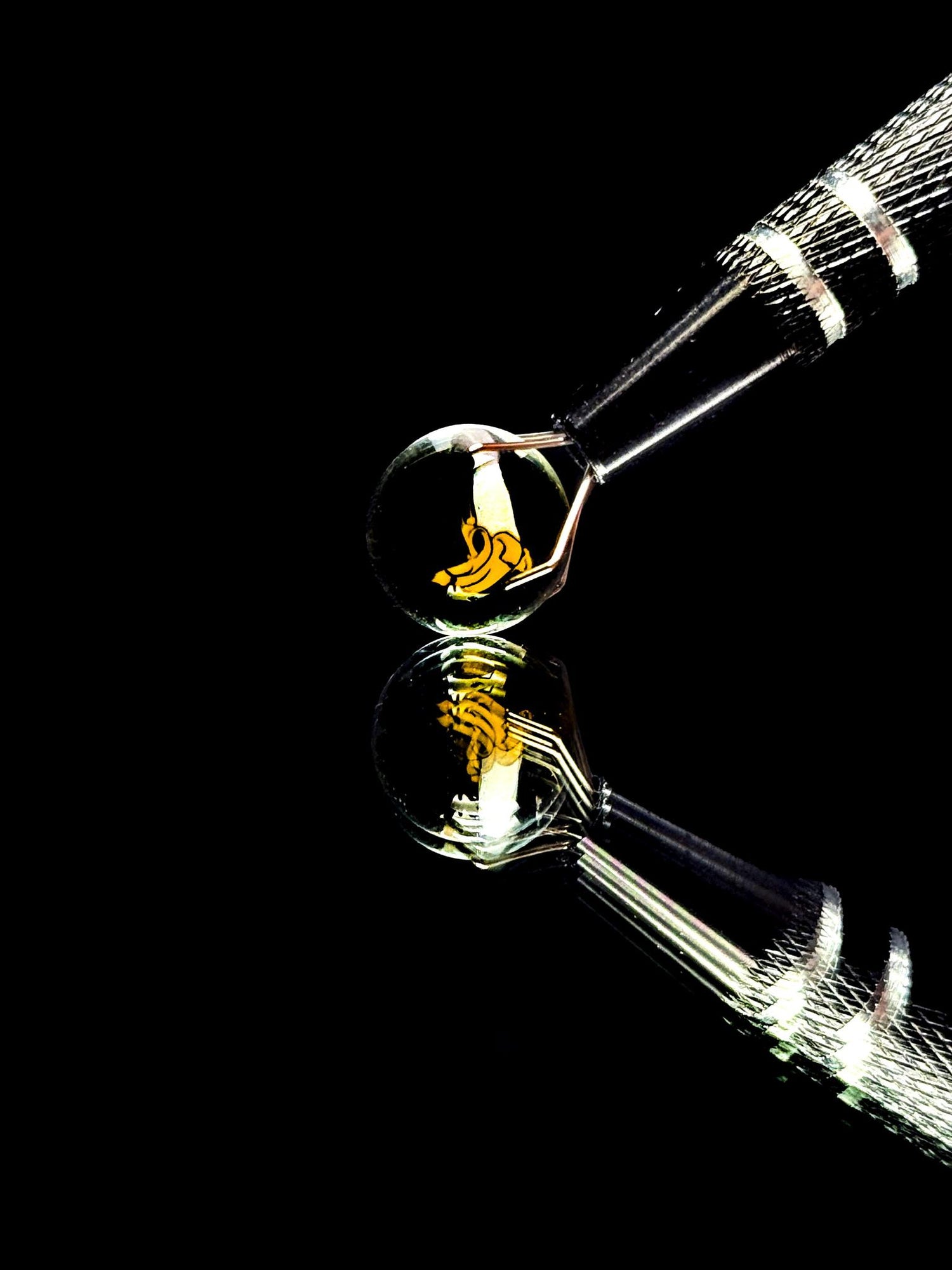 Coyle Dead Valve Marble