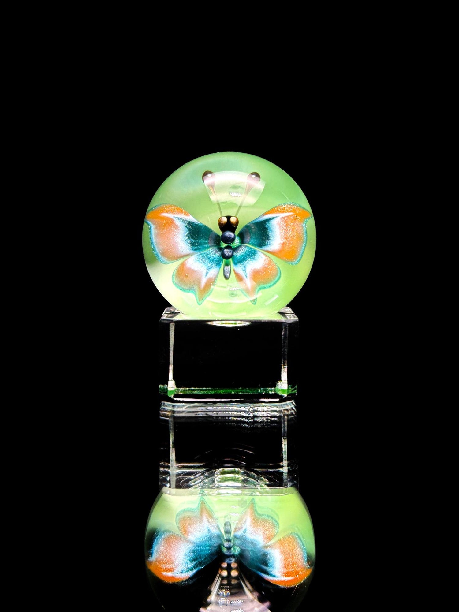 Florin Glass Md Butterfly Marble