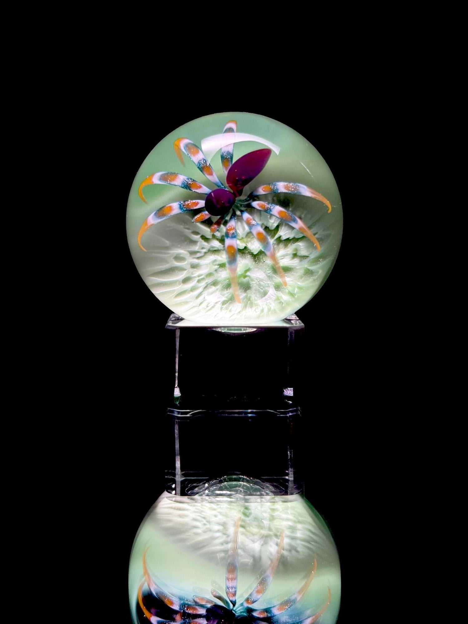 Florin Glass Lg Spider Marble