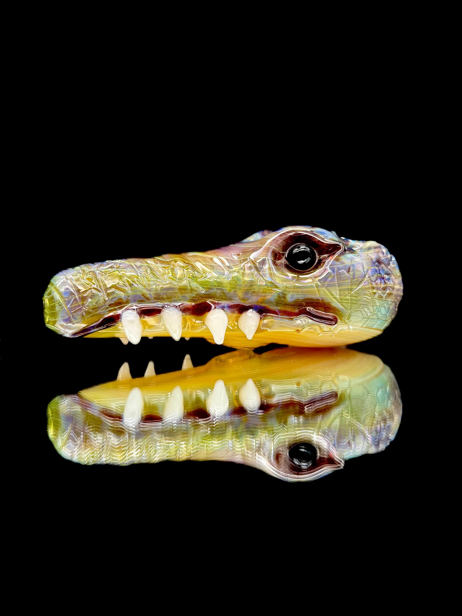 Addison Hanna Gator Head Rig