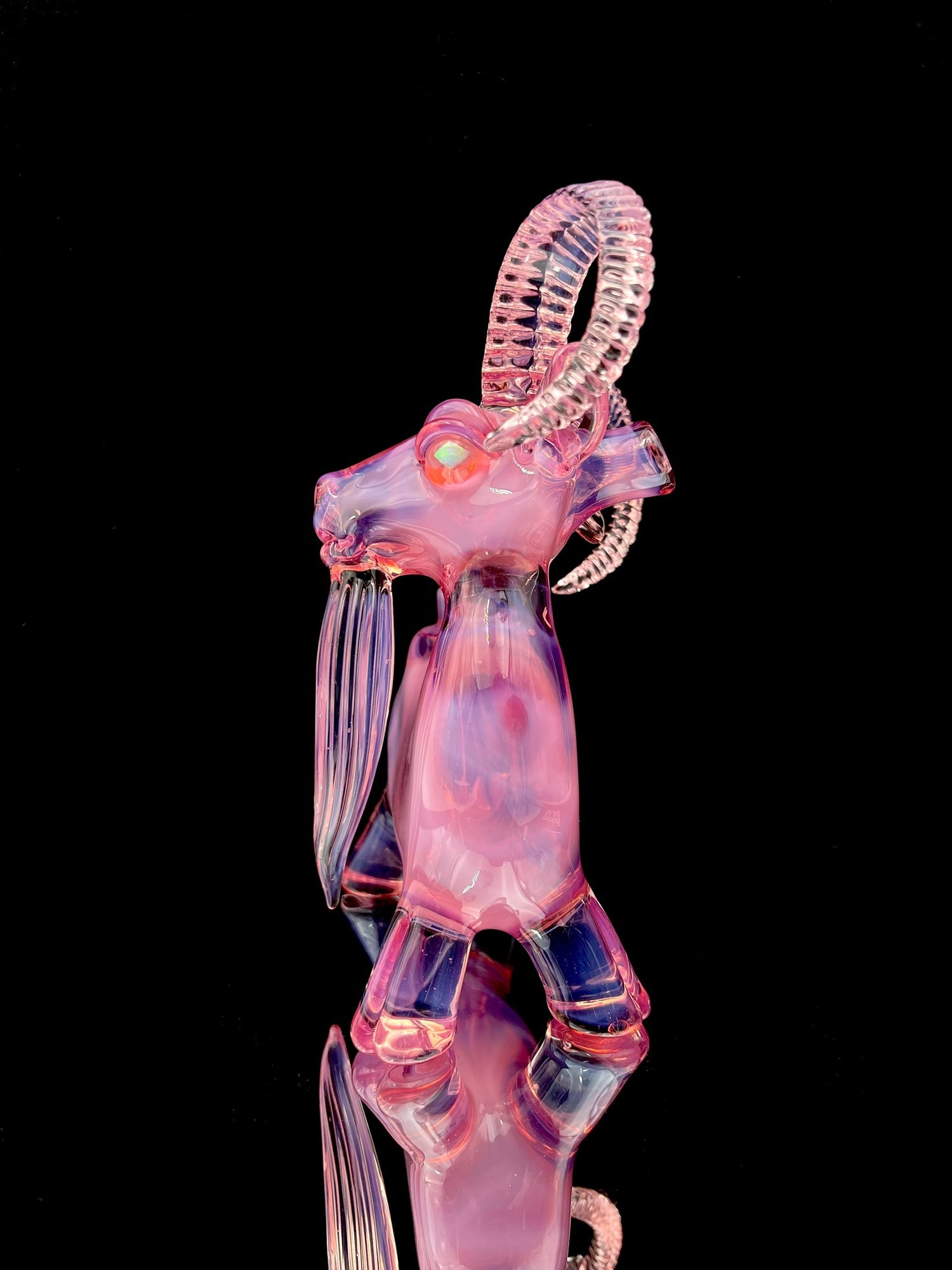 Robertson Glass Goat Rig