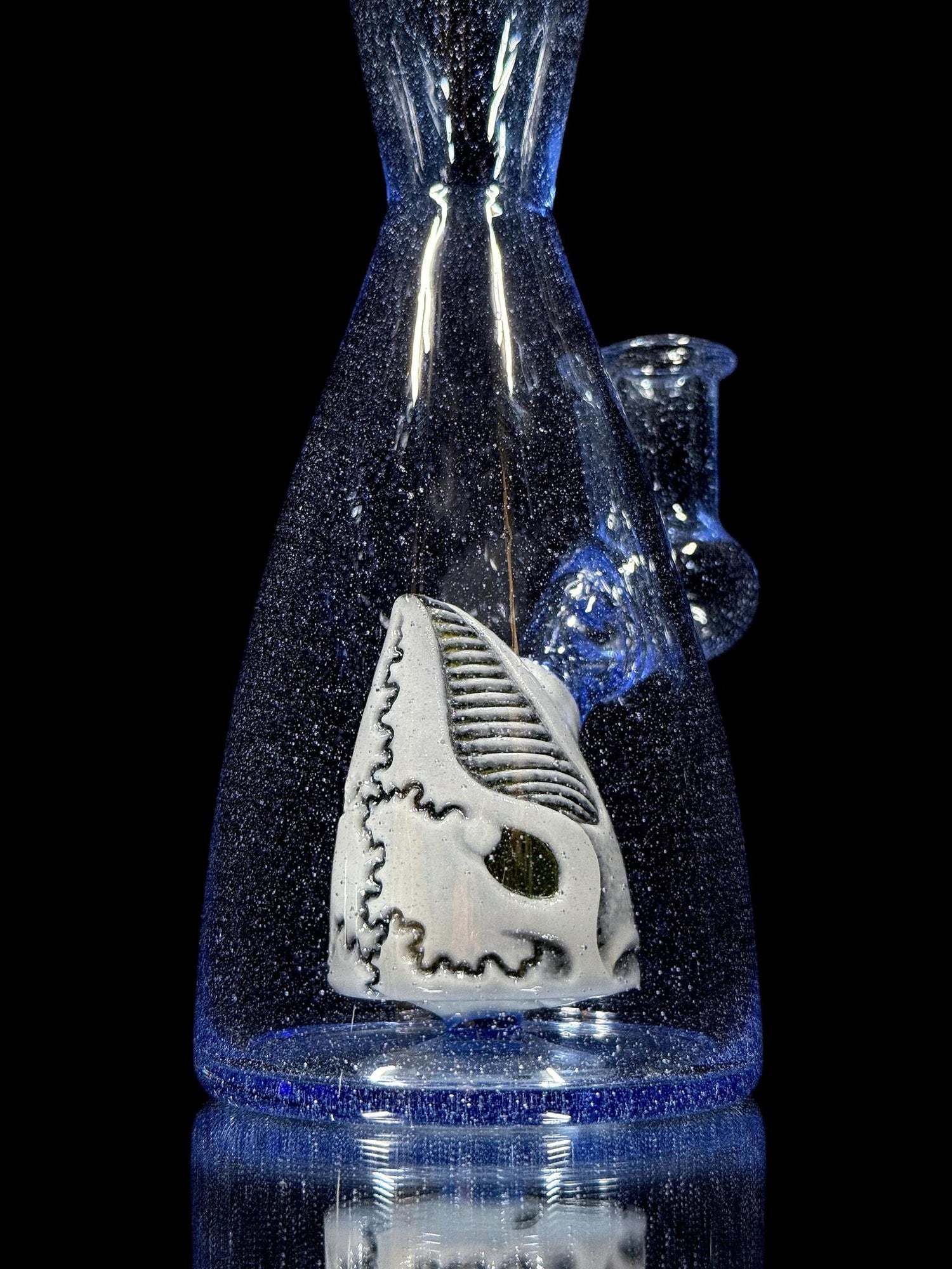 Chadd Lacy x Babedrienne Whale Bottle