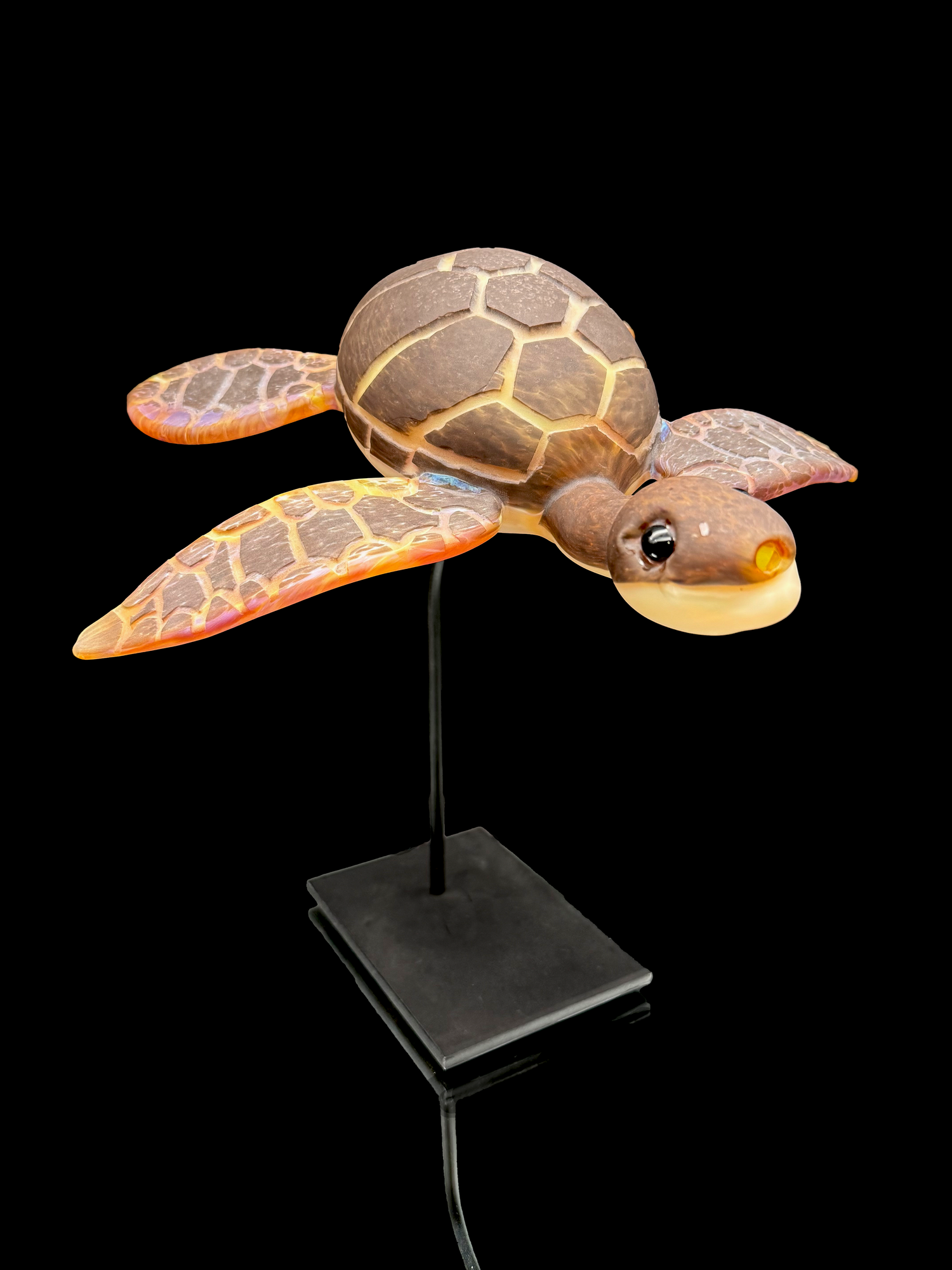 Addison Hanna Sea Turtle Rig