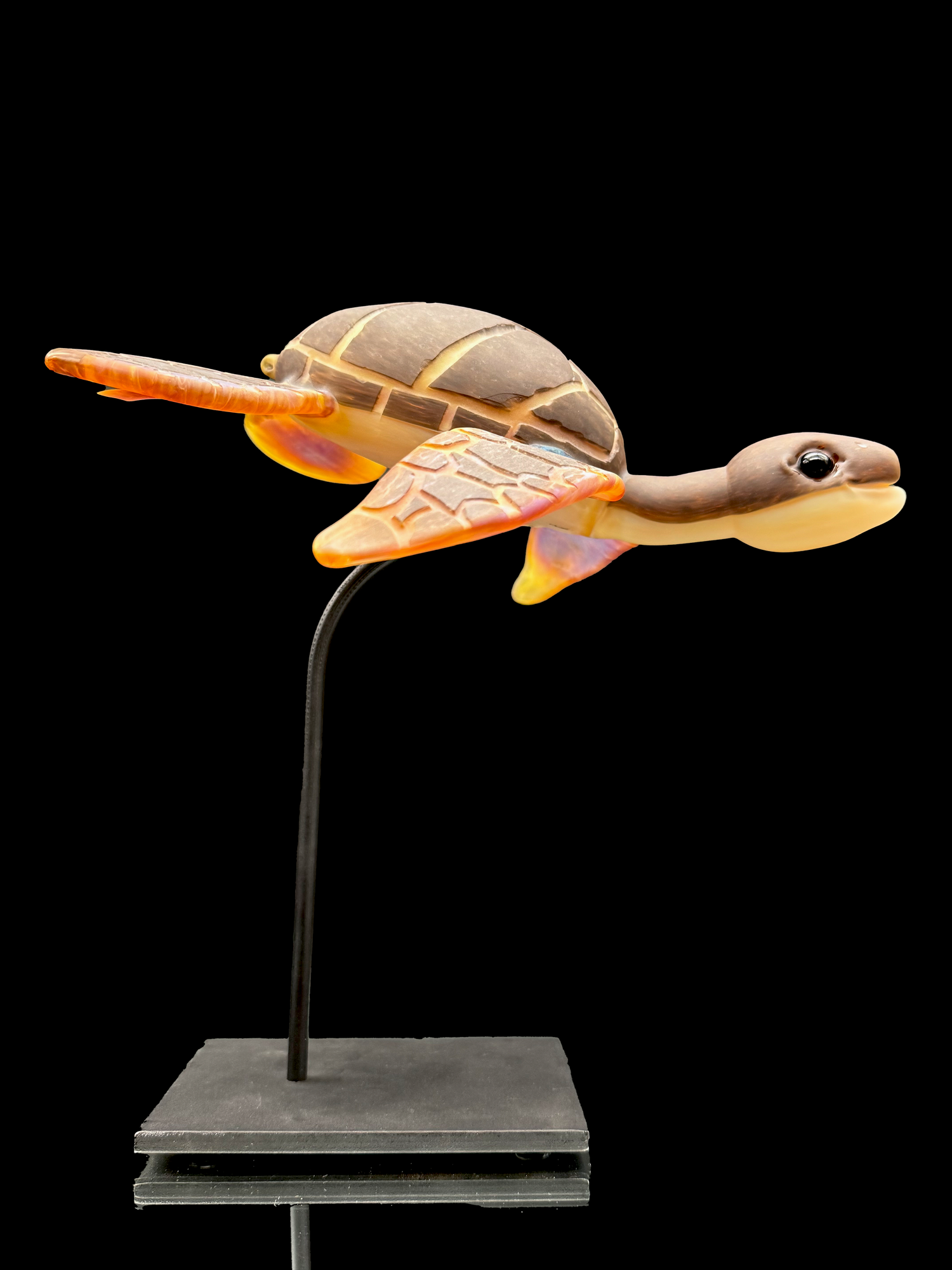 Addison Hanna Sea Turtle Rig