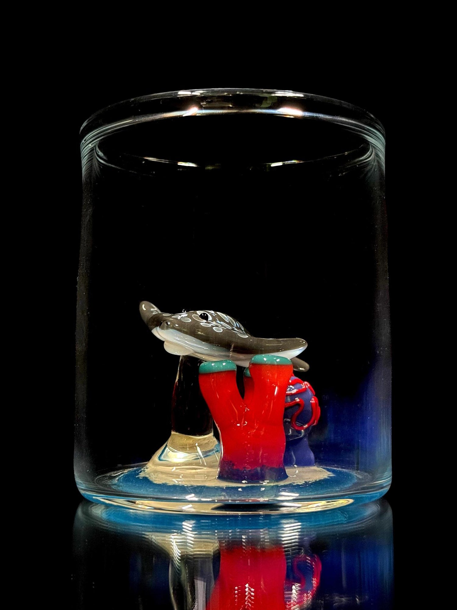 Kian McLay Aquarium Cup